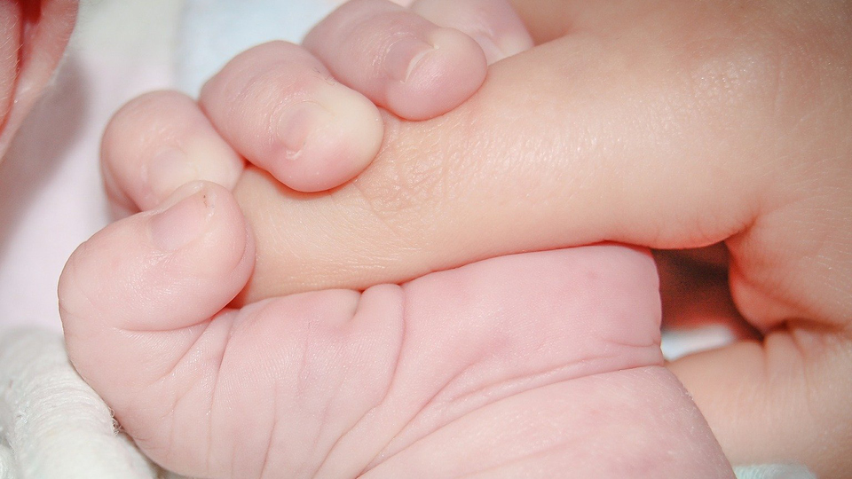 En liten bebishand kramar en vuxens finger
