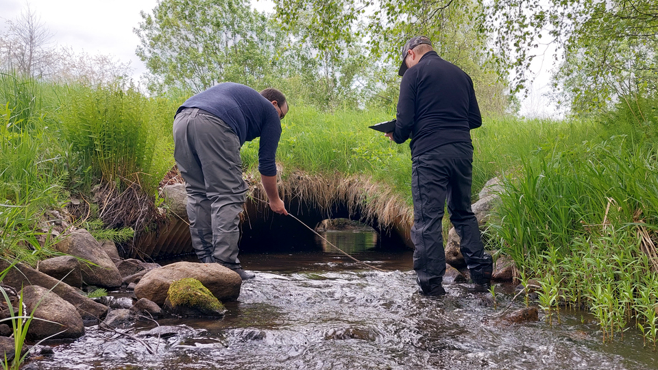 Två män står i ett vattendrag och genomför mätningar.