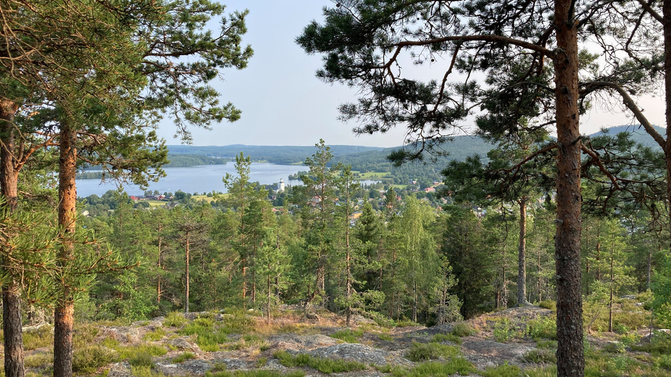 Bilden visar en vacker utsikt med träd och en sjö.