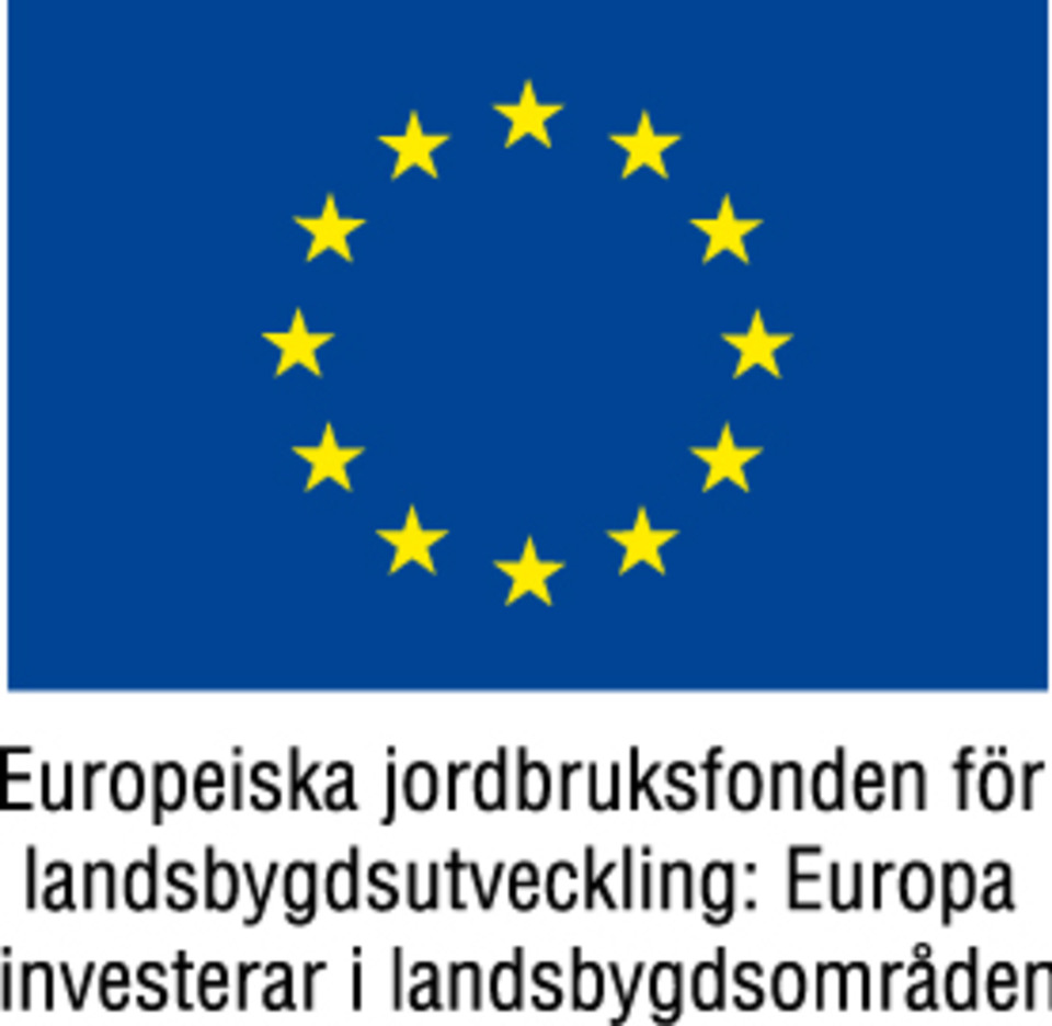 EU-logga för jordbruksfonden för landsbygdsutveckling