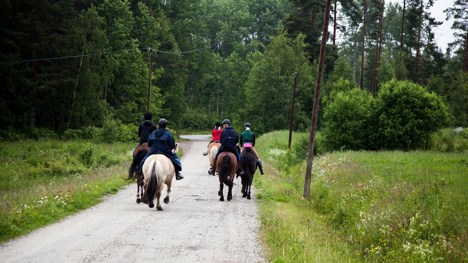 Fem hästar med ryttare längs en grusväg.