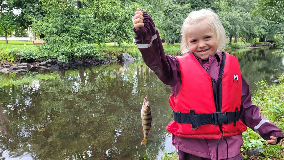En liten flicka håller upp en abborre som hon precis fiskat upp.