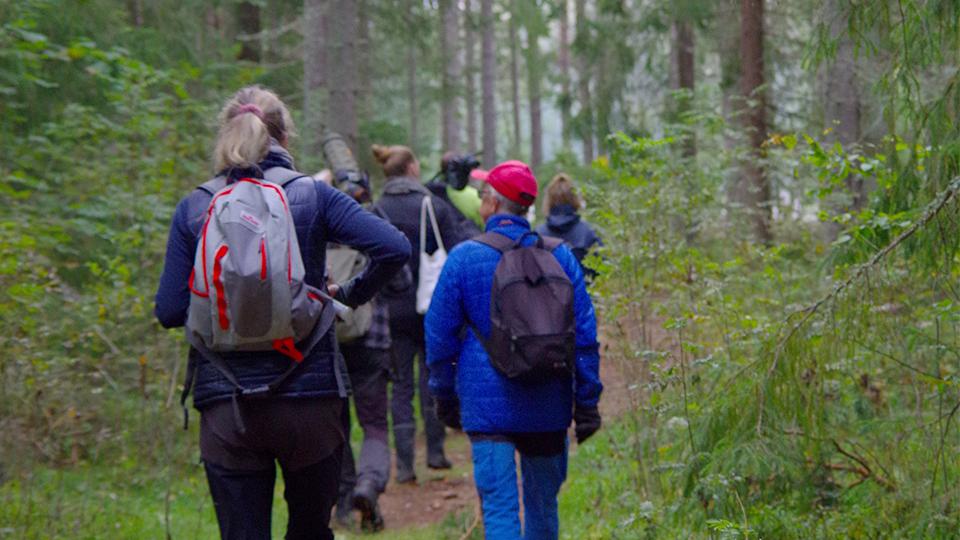 Människor som går längs en stig i skogen.