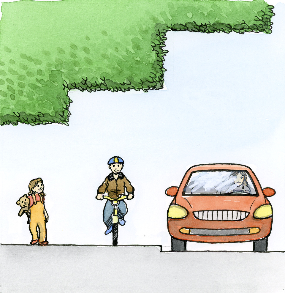 Illustration höjdnivåer för träd och buskar över väg