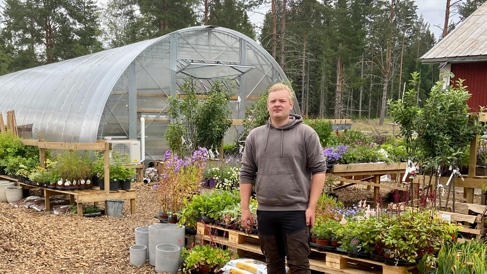 Bilden visar en man som står framför planteringar och ett växthus.