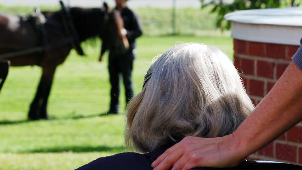 En person håller sin hand på ryggen på en äldre kvinna som sitter ute och tittar på en häst