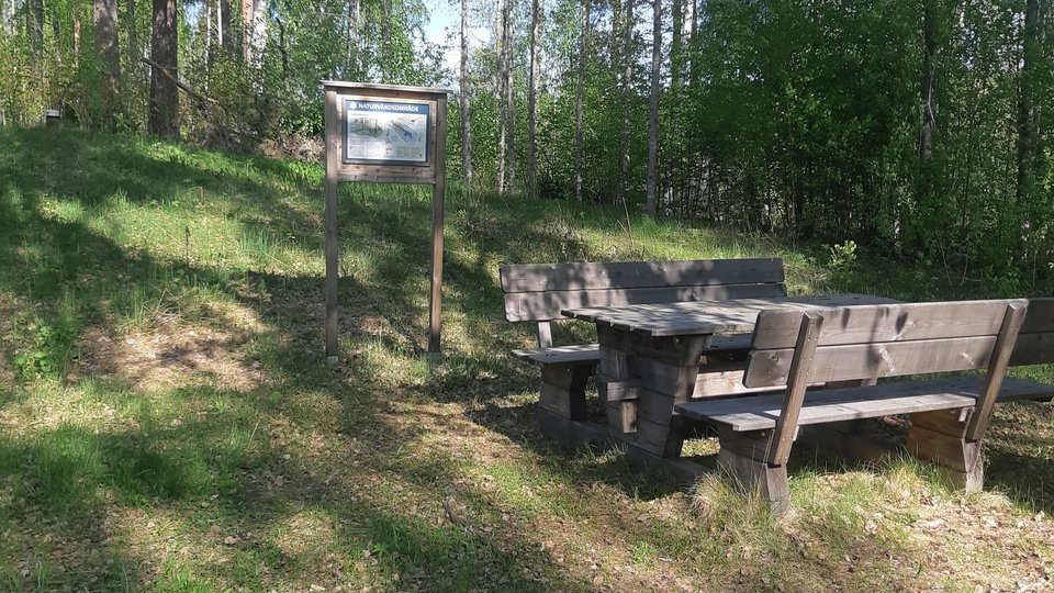 bänkar och bord i skogsdunge.