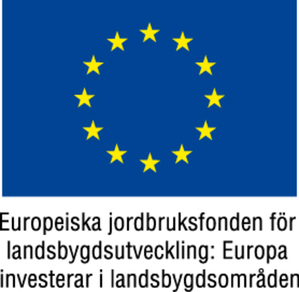 EU-logga för Europa investerar i landsbygdsområden.