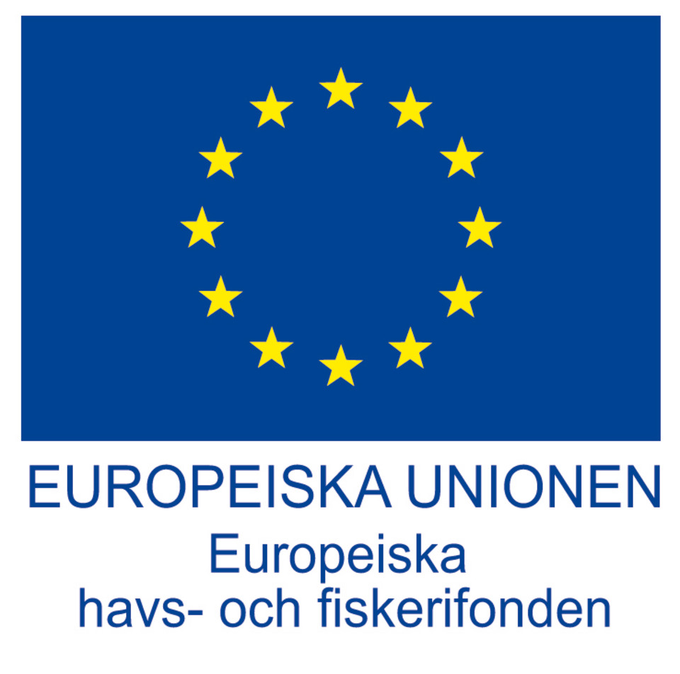 EU-flagga, Europeiska havs- och fiskerifonden.