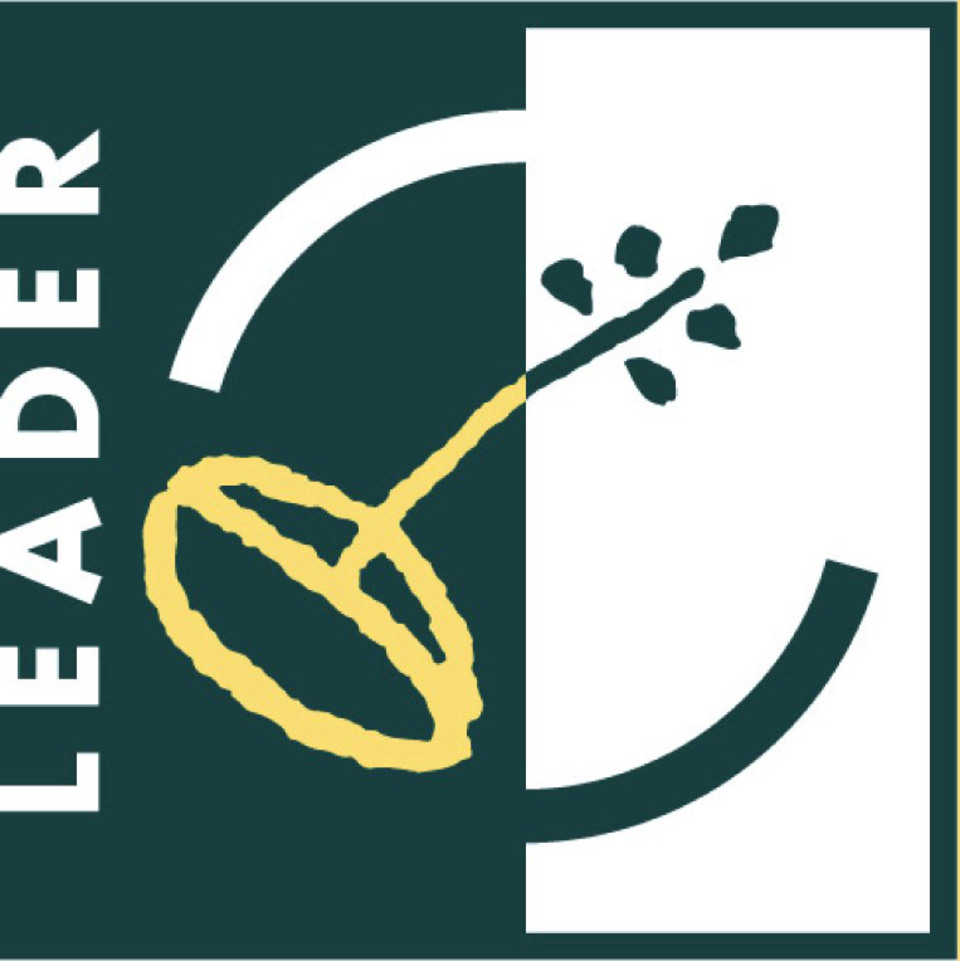 Leaders logotyp.