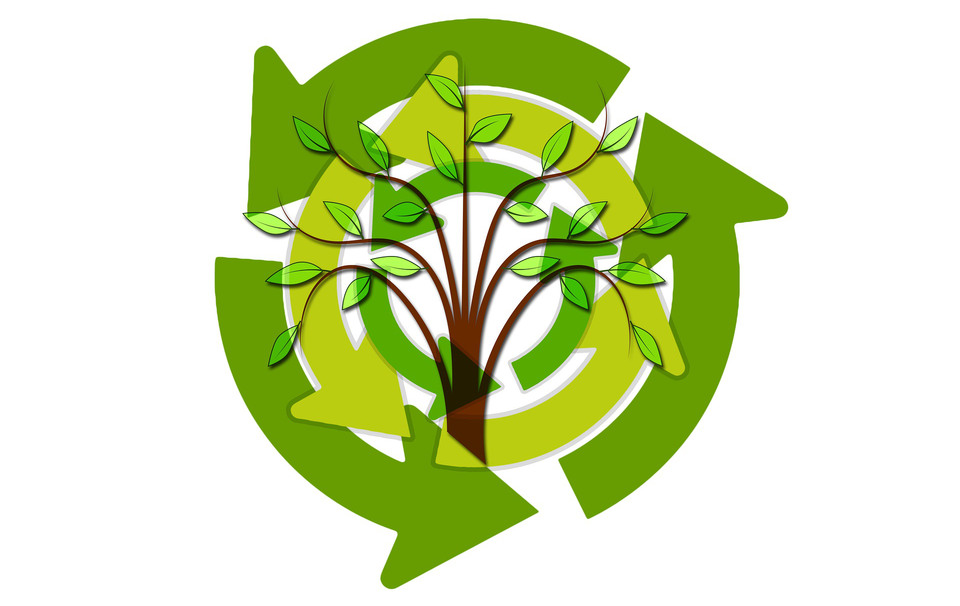 En återvinningssymbol med pilar och  i mitten syns ett lövträd.