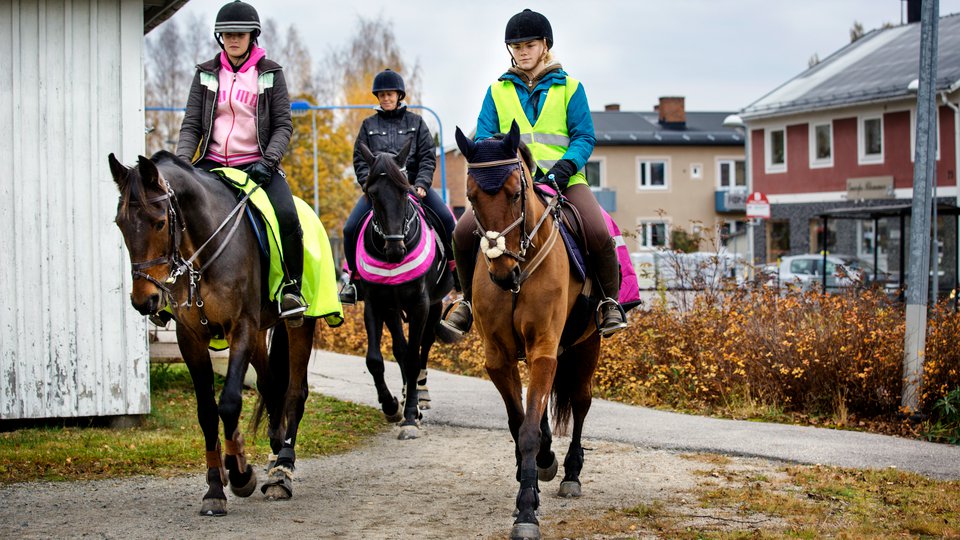 Tre hästar med ryttare  på en väg i Gnarps centrum.