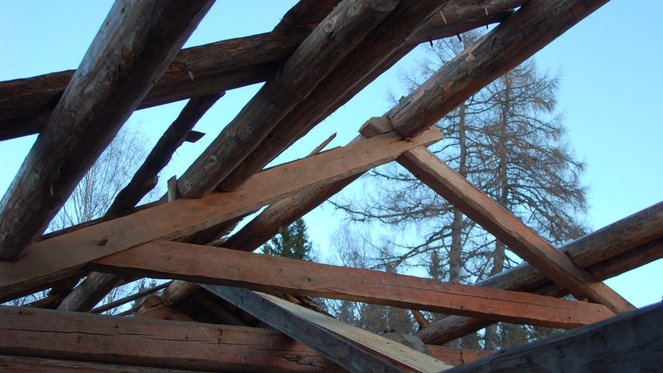 Takåsar och delar av trästomme på gammal byggnad.