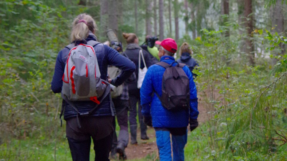 Grupp människor promenerar i skog.