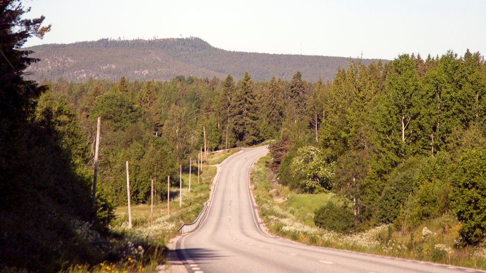 En landsväg med skog och berg.