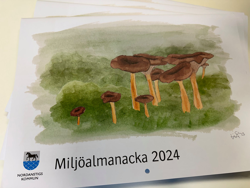 Flera almanackor som ligger på ett bord. för På omslaget är en bild på svampar som växer i mossa. Under Nordanstigs kommuns logotyp och texten miljöalmanacka.