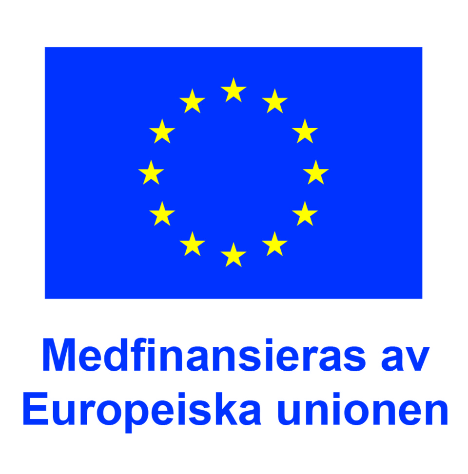 Logotyp blå flagga med gula stjärnor. Medfinansieras av Europeiska unionen.