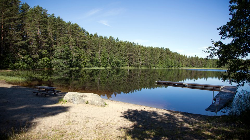 Badplats,Barrtjärn, Älgered Bergsjö
