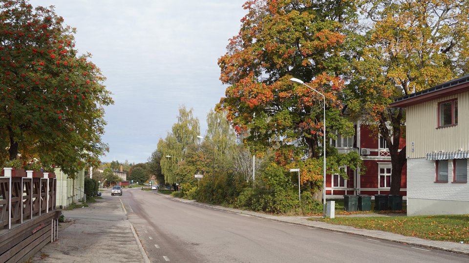En asfalterad gata med trottoar genom en liten by med byggnader och träd längs kanterna..