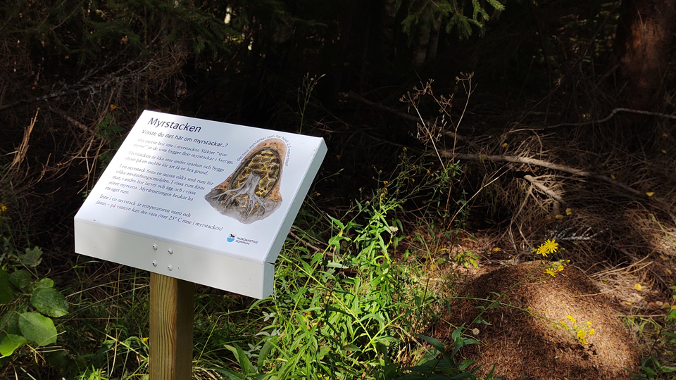 En skylt med information om myrstacken placerad i en skogsdunge. I bakgrunden skymtar en myrstack.